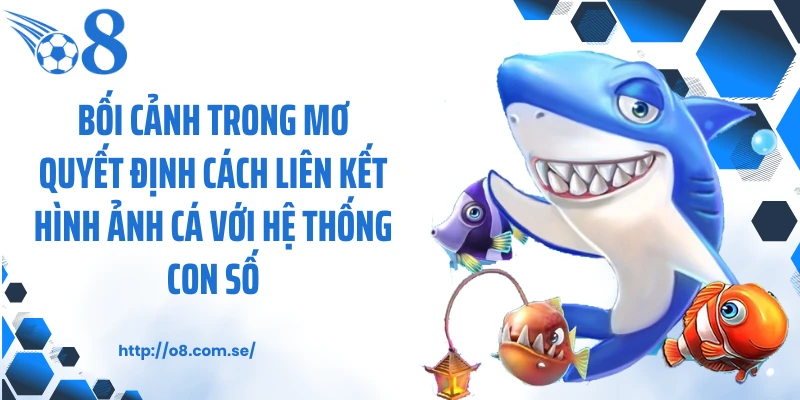 Bối cảnh trong mơ quyết định cách liên kết hình ảnh cá với hệ thống con số