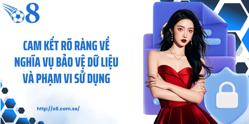 Cam kết rõ ràng về nghĩa vụ bảo vệ dữ liệu và phạm vi sử dụng