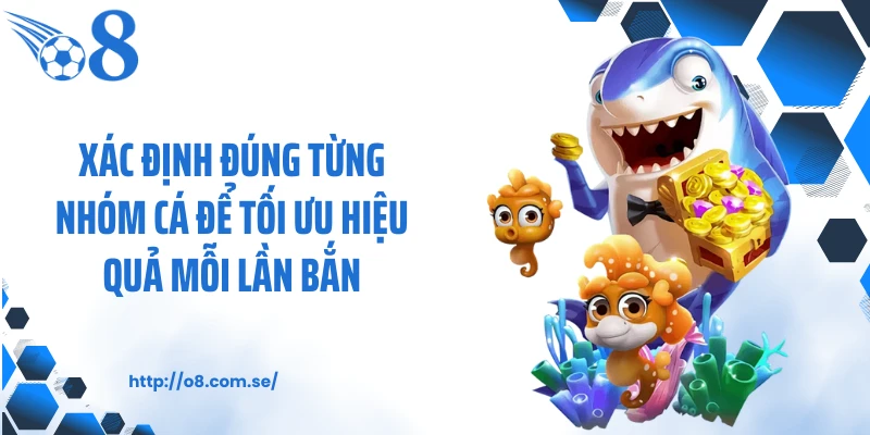 Xác định đúng từng nhóm cá để tối ưu hiệu quả mỗi lần bắn